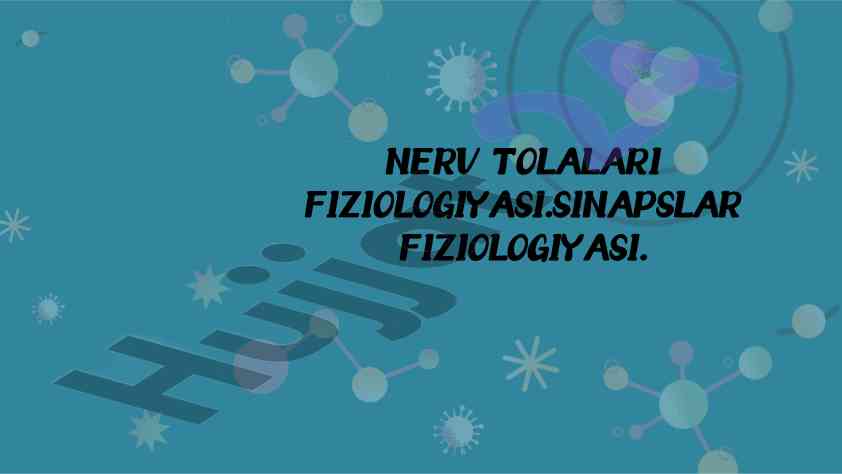 Nerv tolalari fiziologiyasi va sinapslar turlari