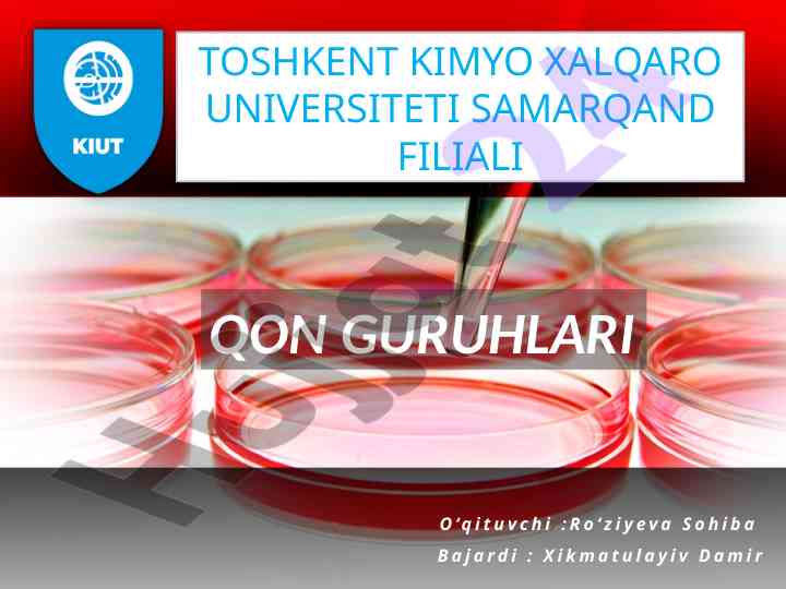 Qon guruhlari tushunchasi va o‘rni