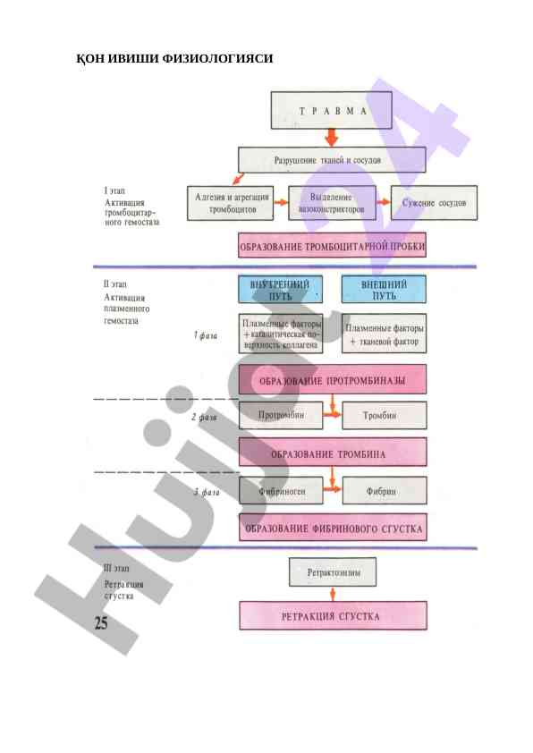 Qon ivişi fiziologiyasi tahlili