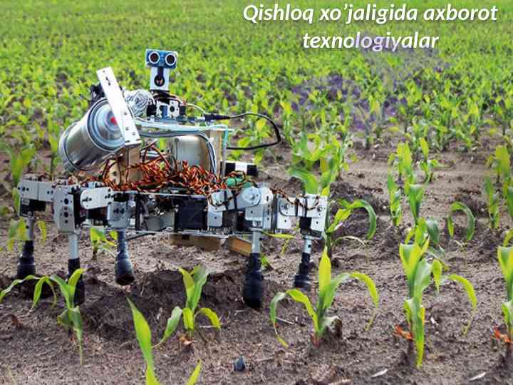 Qishloq xo'jaligida axborot texnologiyalari