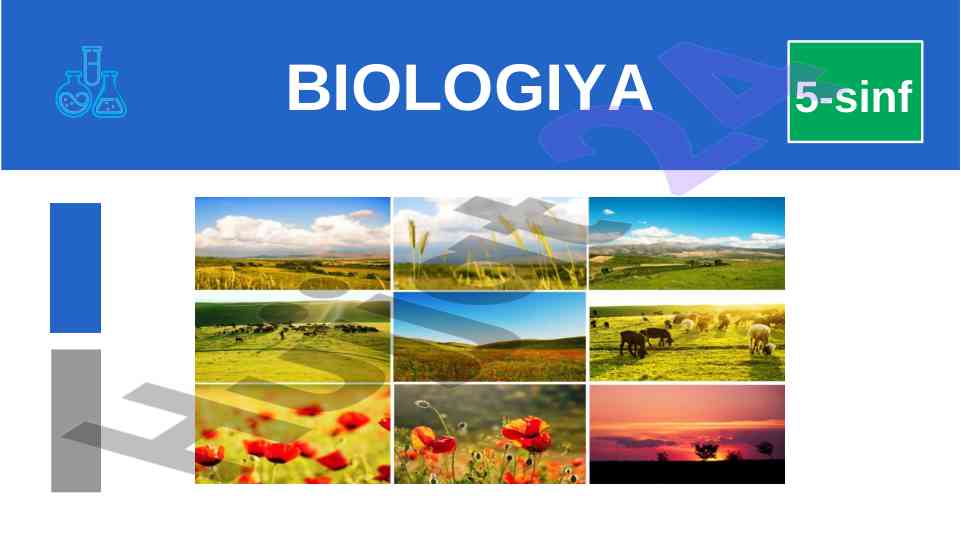 Bakteriyalarning foydasi va zarari laboratoriya mashg‘uloti
