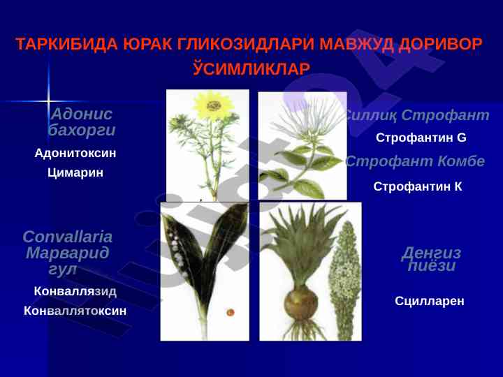 Юрак гликозидлари муаммоси ва таснифи