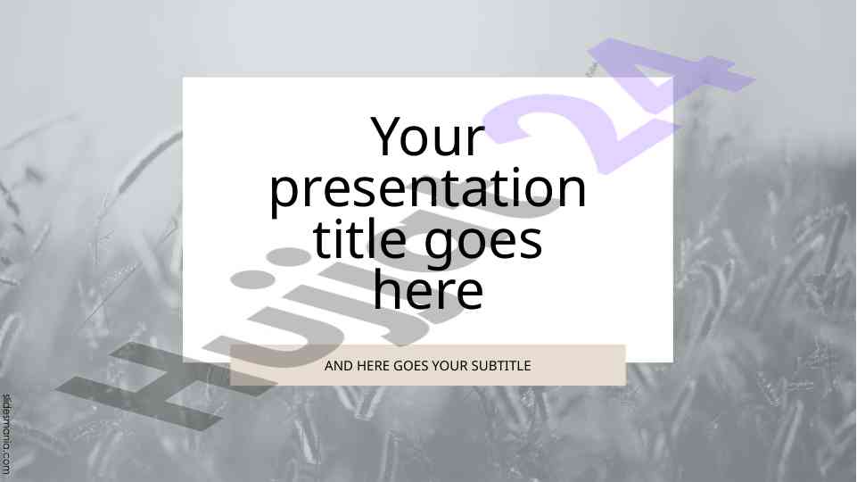 Interesting facts about animals presentation
