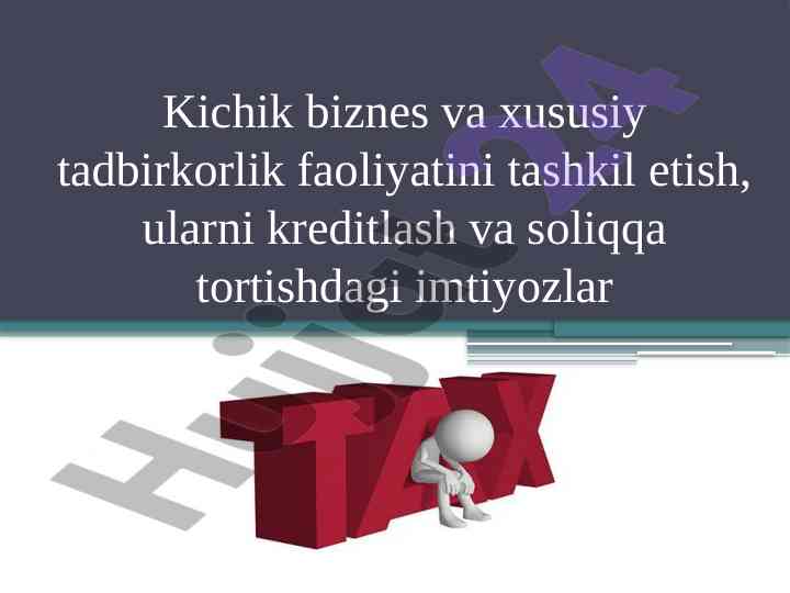 Kichik biznes va xususiy tadbirkorlik faoliyati