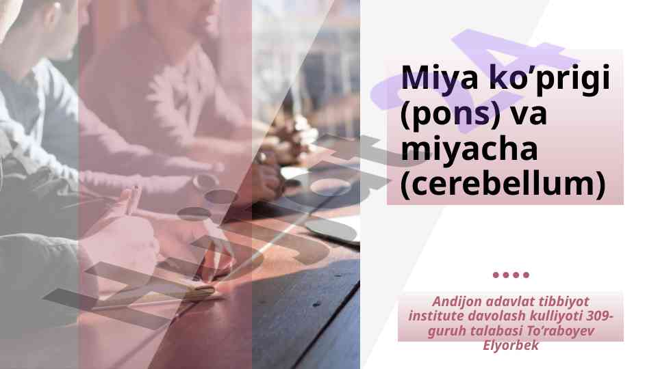 Miya ko’prigi anatomiyasi o’rganish rejasi