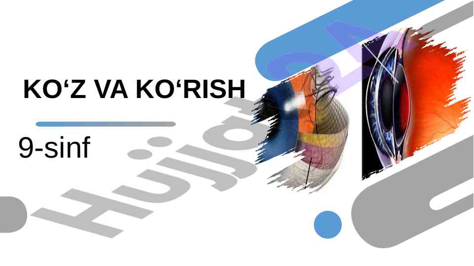 Ko‘z va ko‘rish ko‘zdagi defektlar