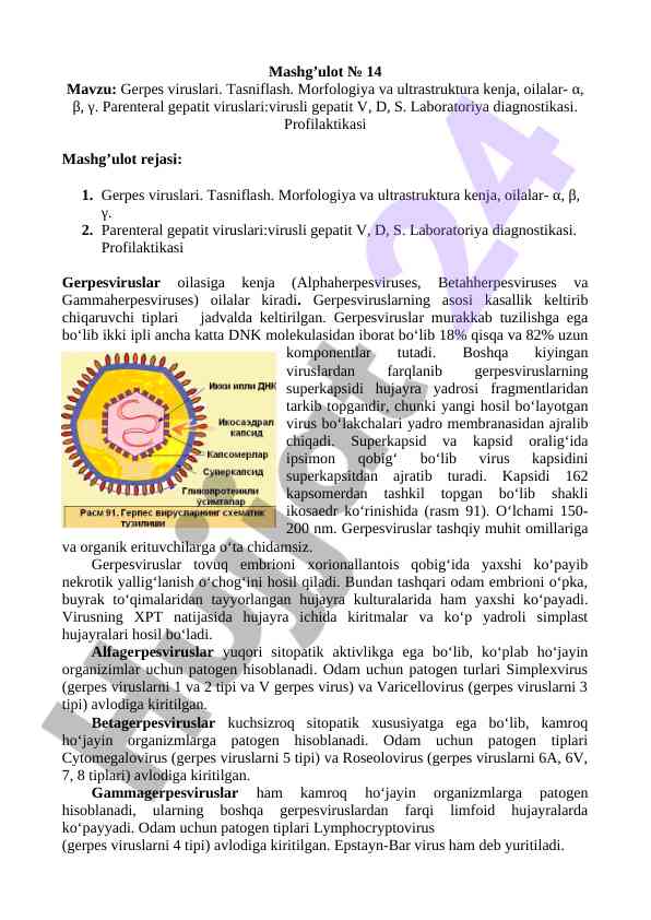 Gerpes viruslari tasnifi va morfologiyasi