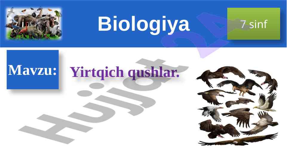 Yirtqich qushlar biologiya 7 sinf dars rejasi