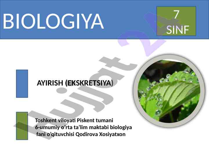 Ayirish jarayonining tirik organizmlardagi ahamiyati