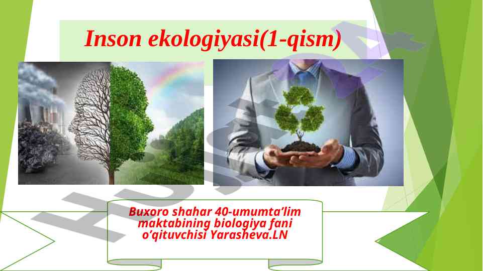 Inson ekologiyasi tabiat va tashqi muhit o‘rtasida