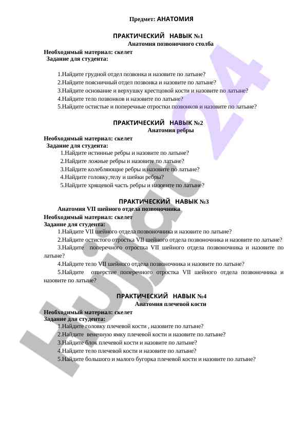 Aнатомия практический навык по позвоночнику