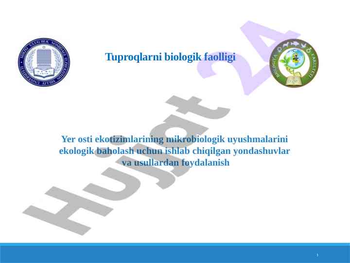 Tuproqlarni biologik faolligi va ekotizimlar