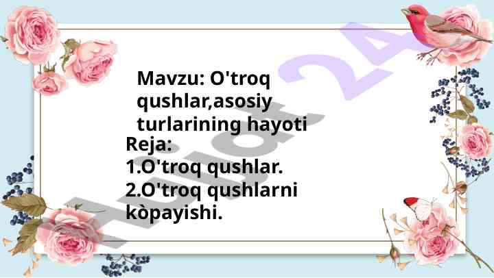 O'troq Qushlar Asosiy Turlari Va Hayoti
