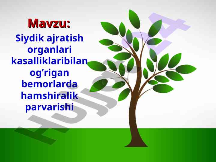 Siydik ajratish organlari kasalliklari hamshiralik parvarishi
