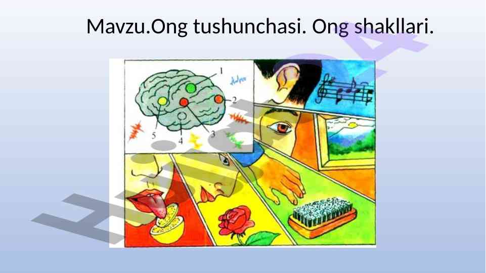 Ong tushunchasi va uning shakllari