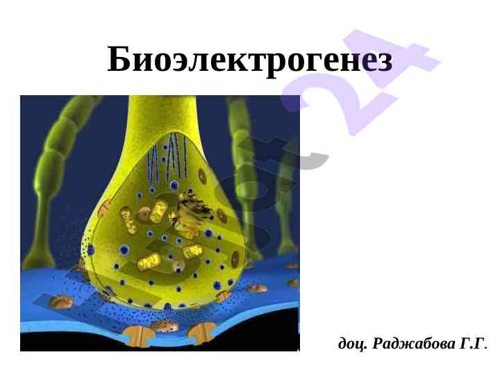 Bioelektrogenez