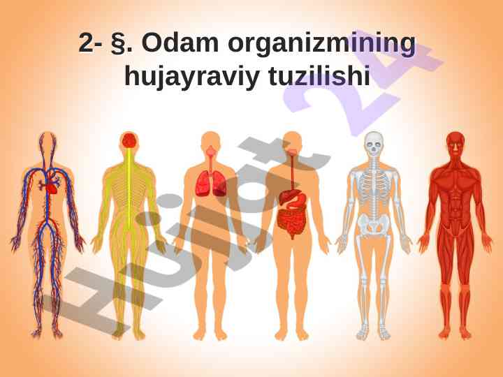 Odam organizmining hujayraviy tuzilishi