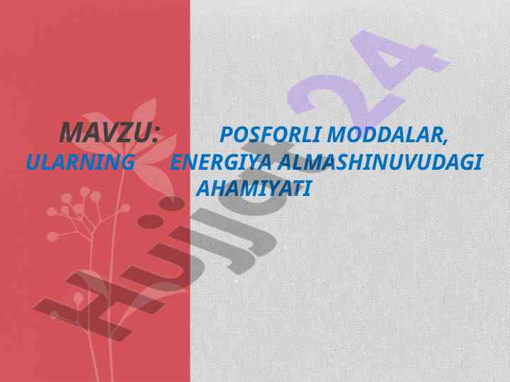 Posforli moddalar va energiya almashinuvining ahamiyati