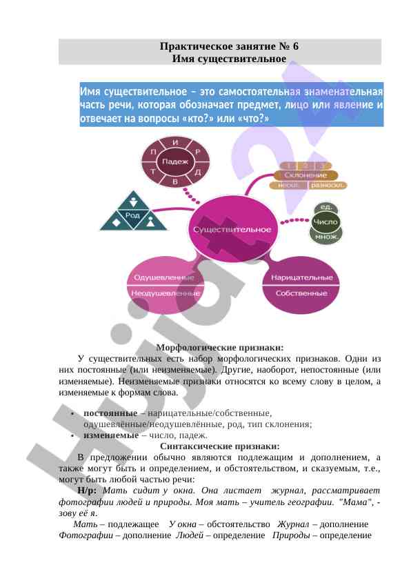 Морфологические признаки имени существительного