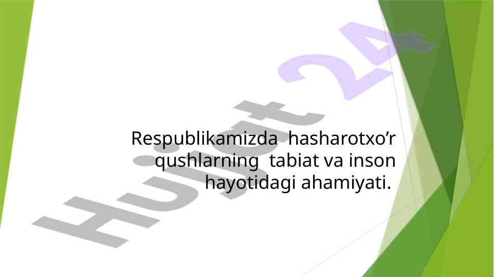 Hasharotxo’r Qushlarning Tabiat va Ahamiyati