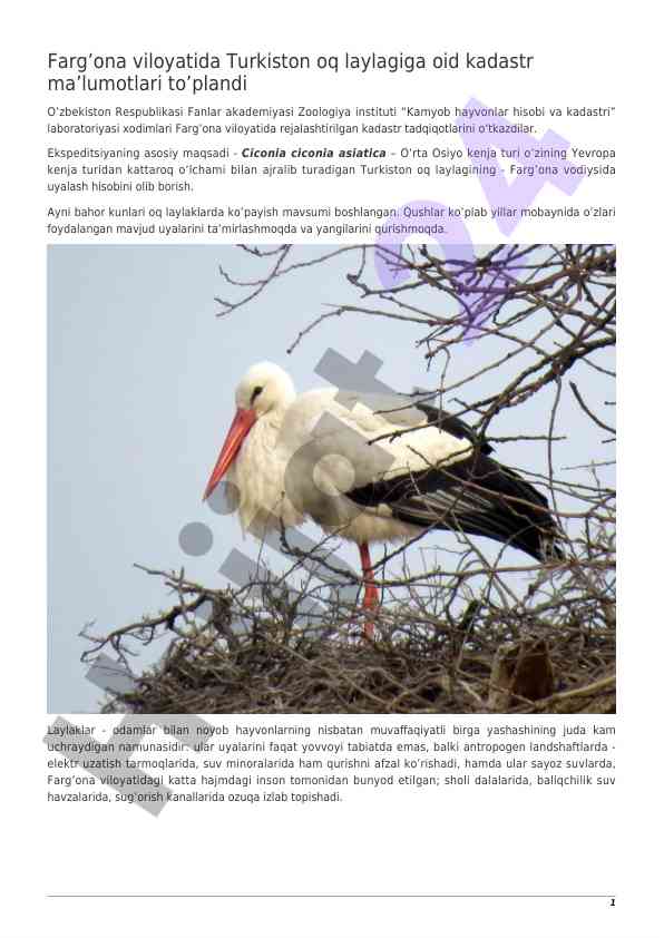 Turkiston oq laylagiga oid kadastr tadqiqotlari