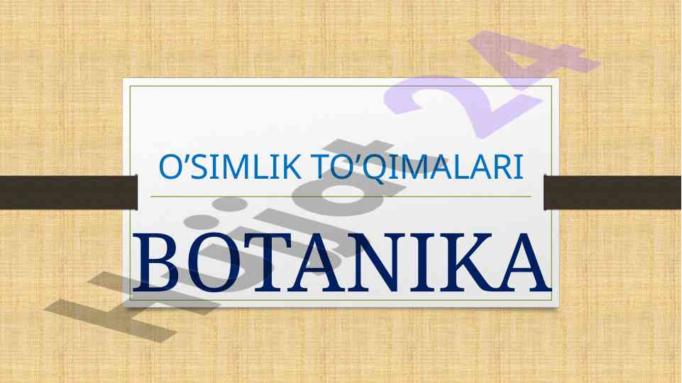 O’simlik to’qimalari haqida ma’lumotlar