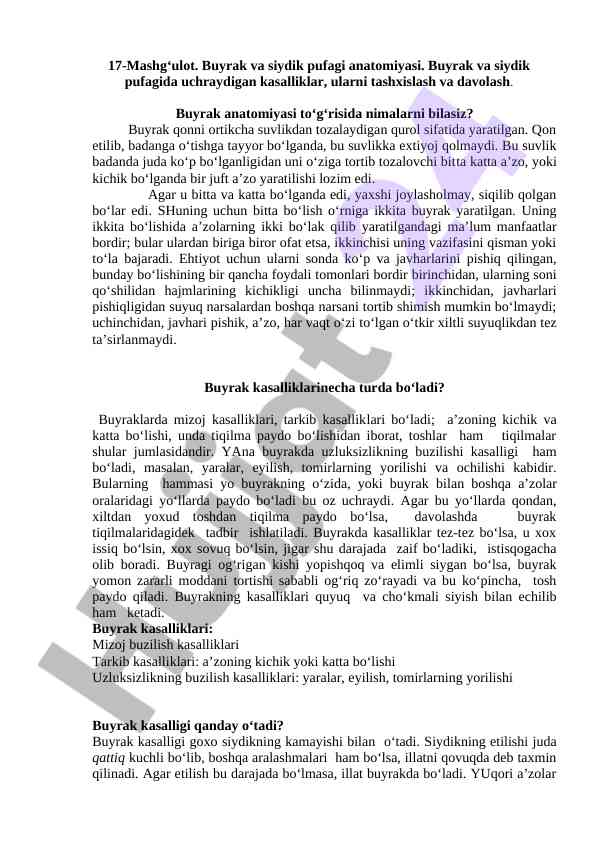 Buyrak va siydik pufagi anatomiyasi tushunchalari