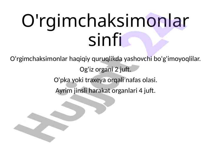 O'rgimchaksimonlar sinfi: tuzilishi va hayot kechirish