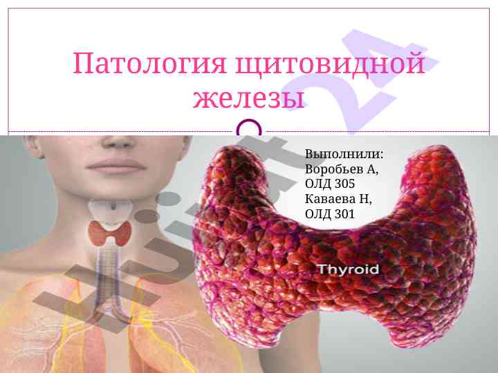 Patologiya shchitovidnoy zhelezy: osnovnye funktsii