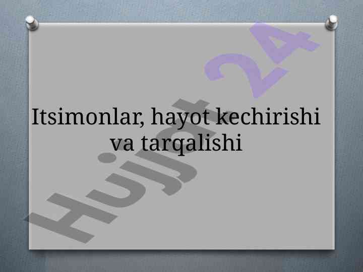 Itsimonlarning Hayoti Va Tarqalishi Tahlili