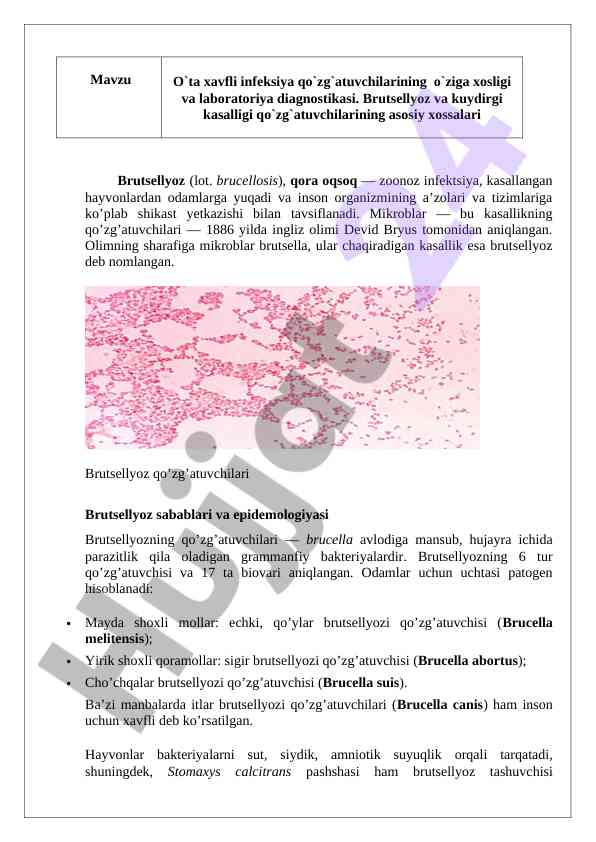 Brutsellyozning tarixi va sabablari