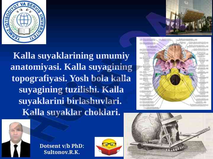 Kalla suyaklarining umumiy anatomiyasi va taraqqiyoti