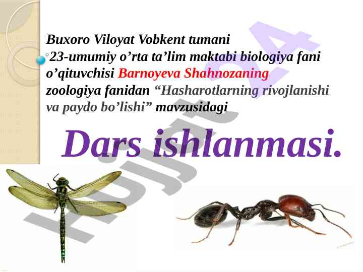 Hasharotlarning rivojlanishi va paydo bo’lishi