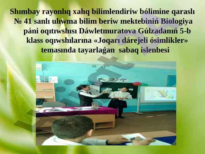 Joqarı dárejeli ósimlikler temasında sabaq ishlenbesi