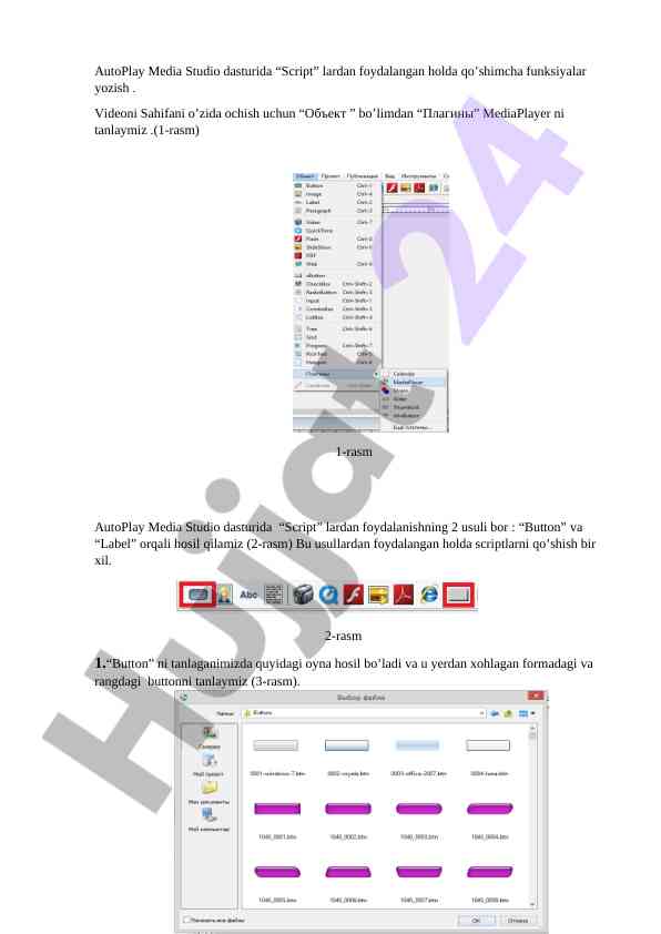 Autoplay media studio dasturida scriptlardan foydalanish