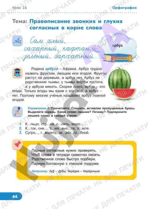 Правописание звонких и глухих согласных в слове арбуз