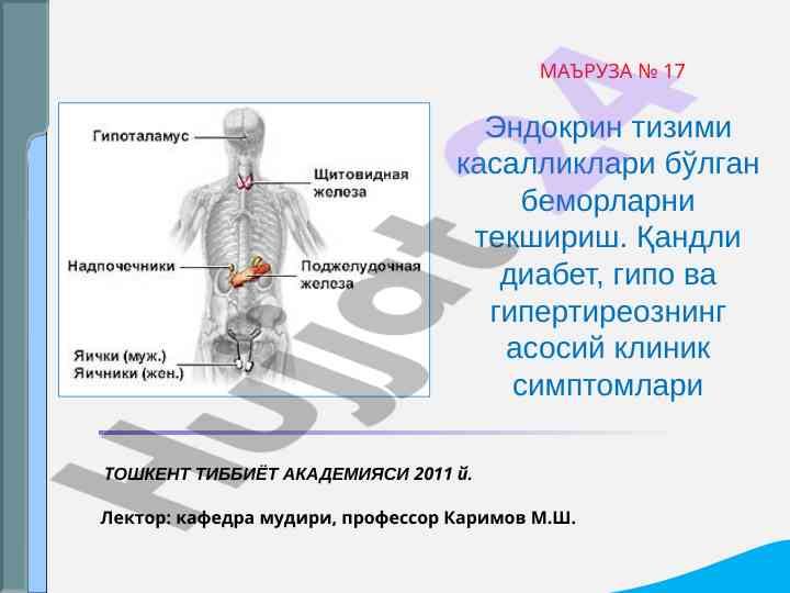 Эндокрин тизими касалликлари бўйича текширув методлари