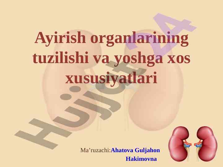 Ayirish organlarining tuzilishi va yoshga xos xususiyatlari