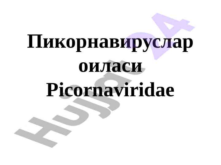 Picornaviridae oilasining morfologiyasi va strukturasi