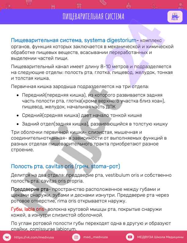 Pishchevaritel'naya sistema i ye'katriklar