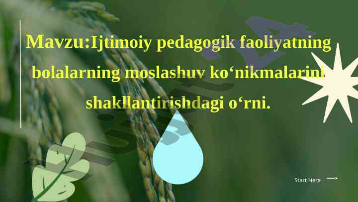 Ijtimoiy pedagogik faoliyatning bolalarga ta'limi