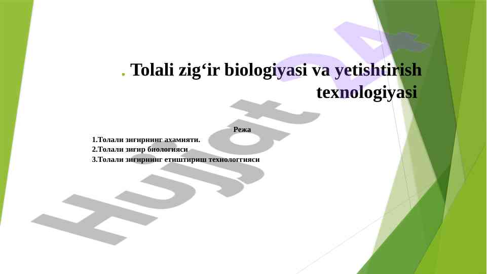 Tolali zig‘ir biologiyasi va yetishtirish texnologiyasi