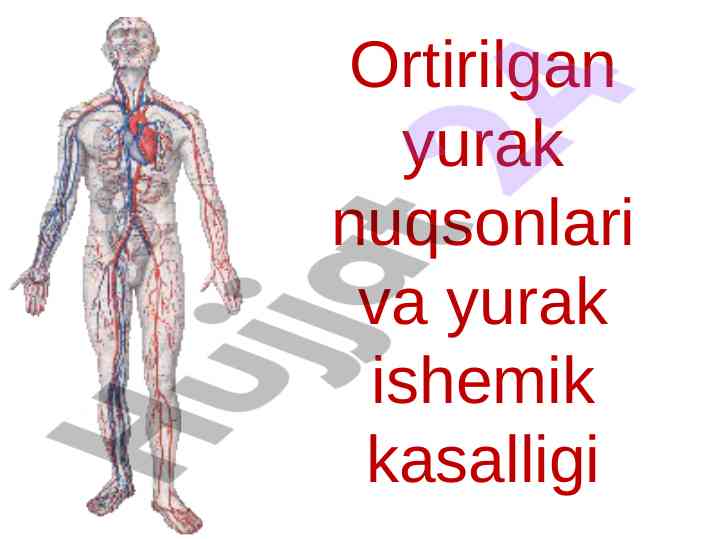 Yurak nuqsonlari va ishemik kasalliklari tahlili