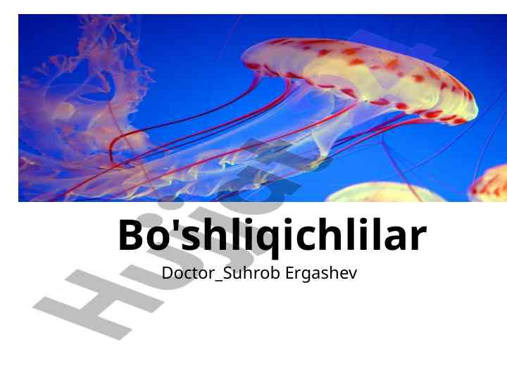 Morfologiyasi tovoni tanasi og'iz paypaslagichlari