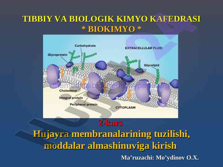 Hujayra membranalarining tuzilishi va vazifalari