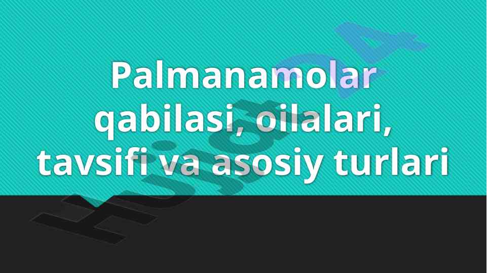 Palmanamolar qabilasi va asosiy turlari tahlili