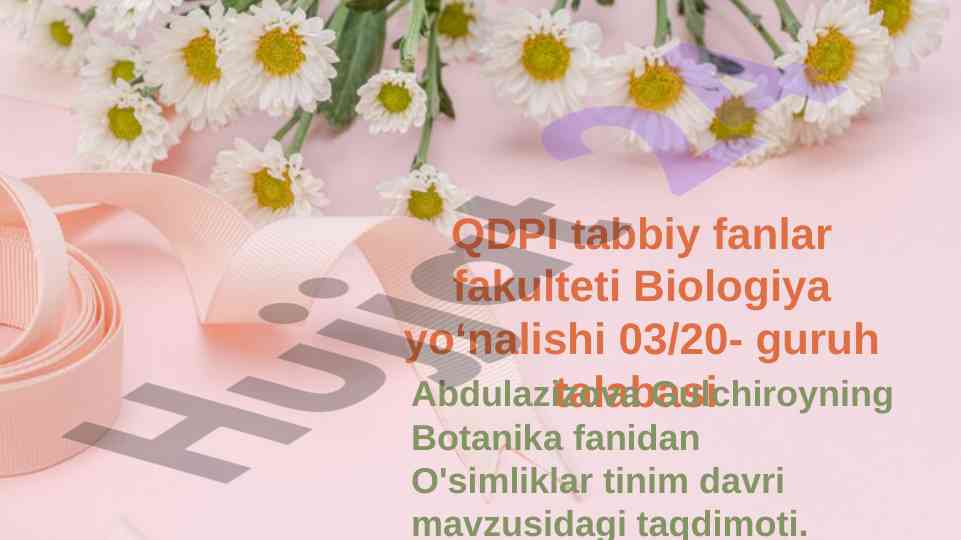 O'simliklar tinim davri va o'sish jarayoni