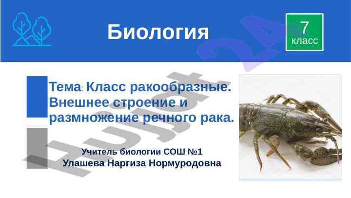 Vneshnee stroenie i razmnozhenie rechnogo raka