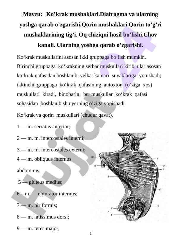 Ko’krak mushaklari va diafragma o’zgarishlari