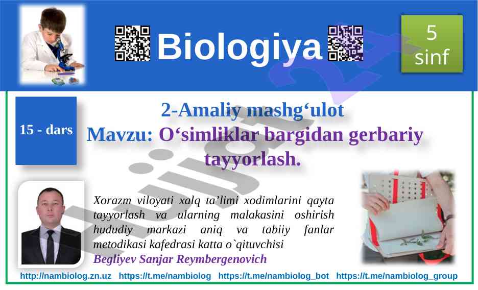 O‘simliklar bargidan gerbariy tayyorlash